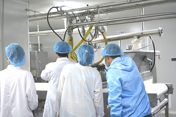 Marshmallow production line